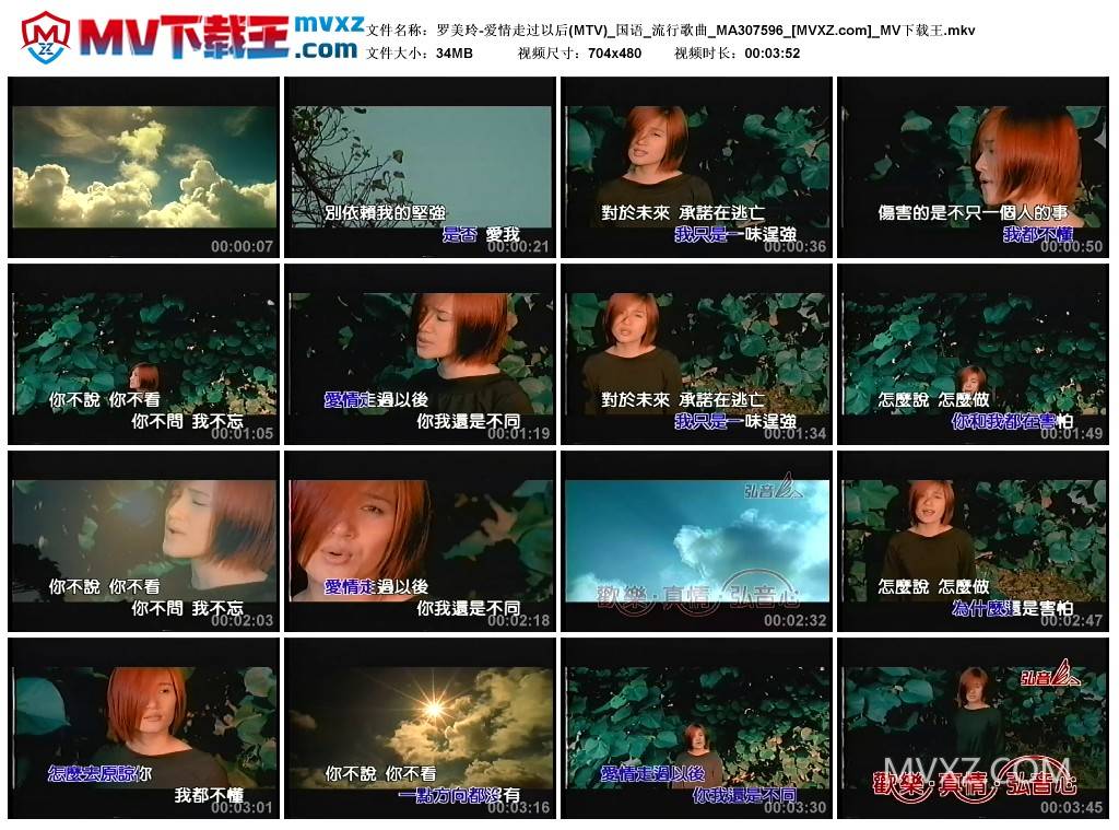 罗美玲-爱情走过以后(MTV)_国语_流行歌曲_MA307596